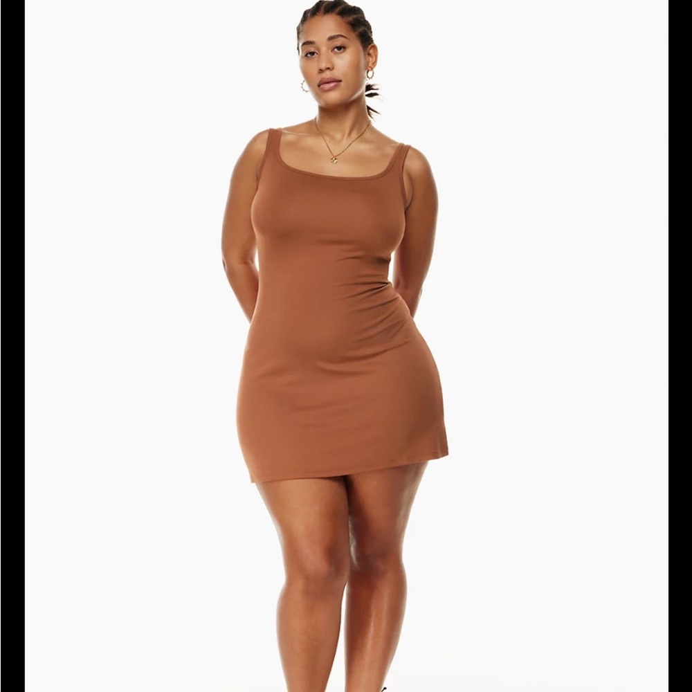 Free with $100 order Aritzia Transe Dress Anise Brown